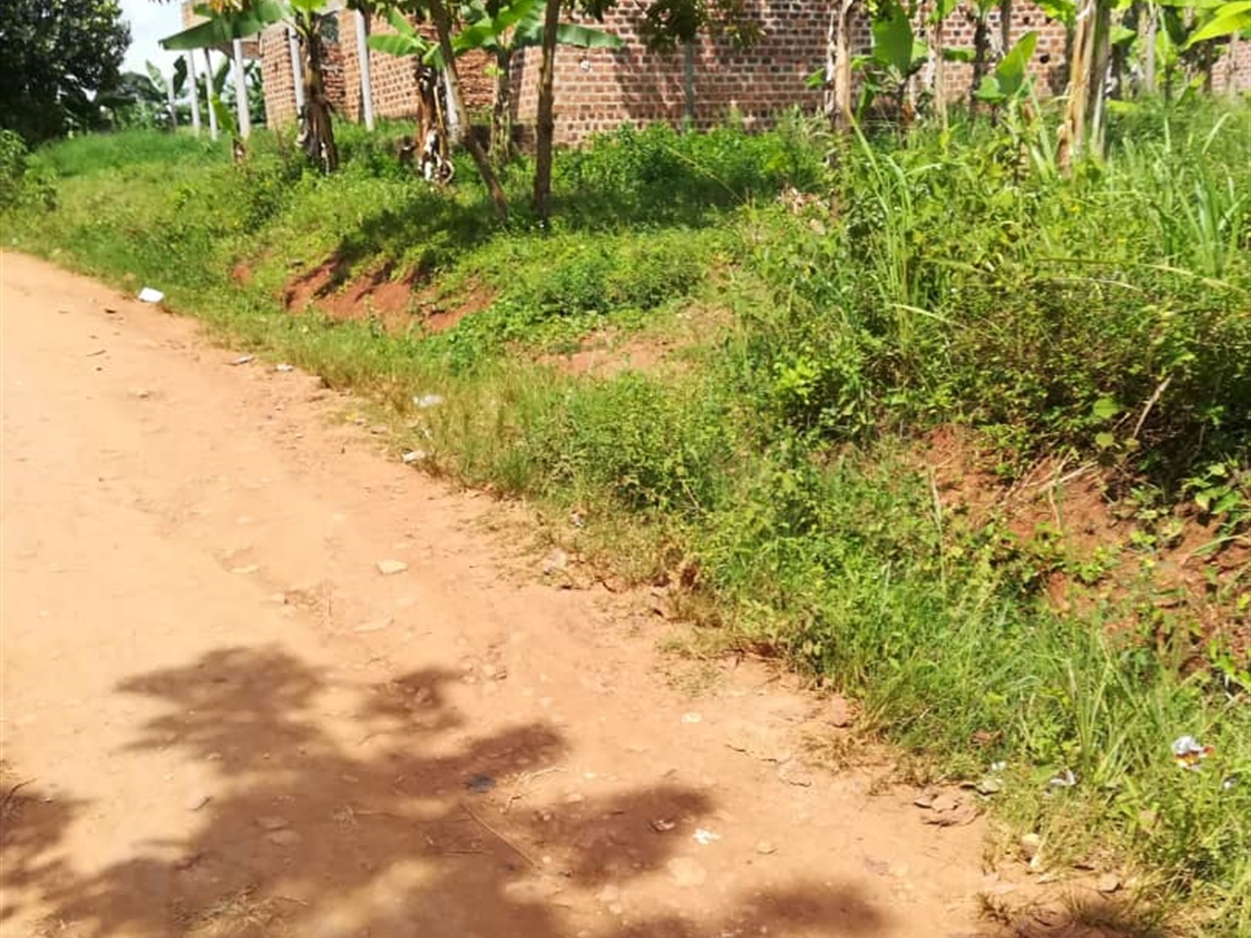 Residential Land for sale in Nsambwe Mukono