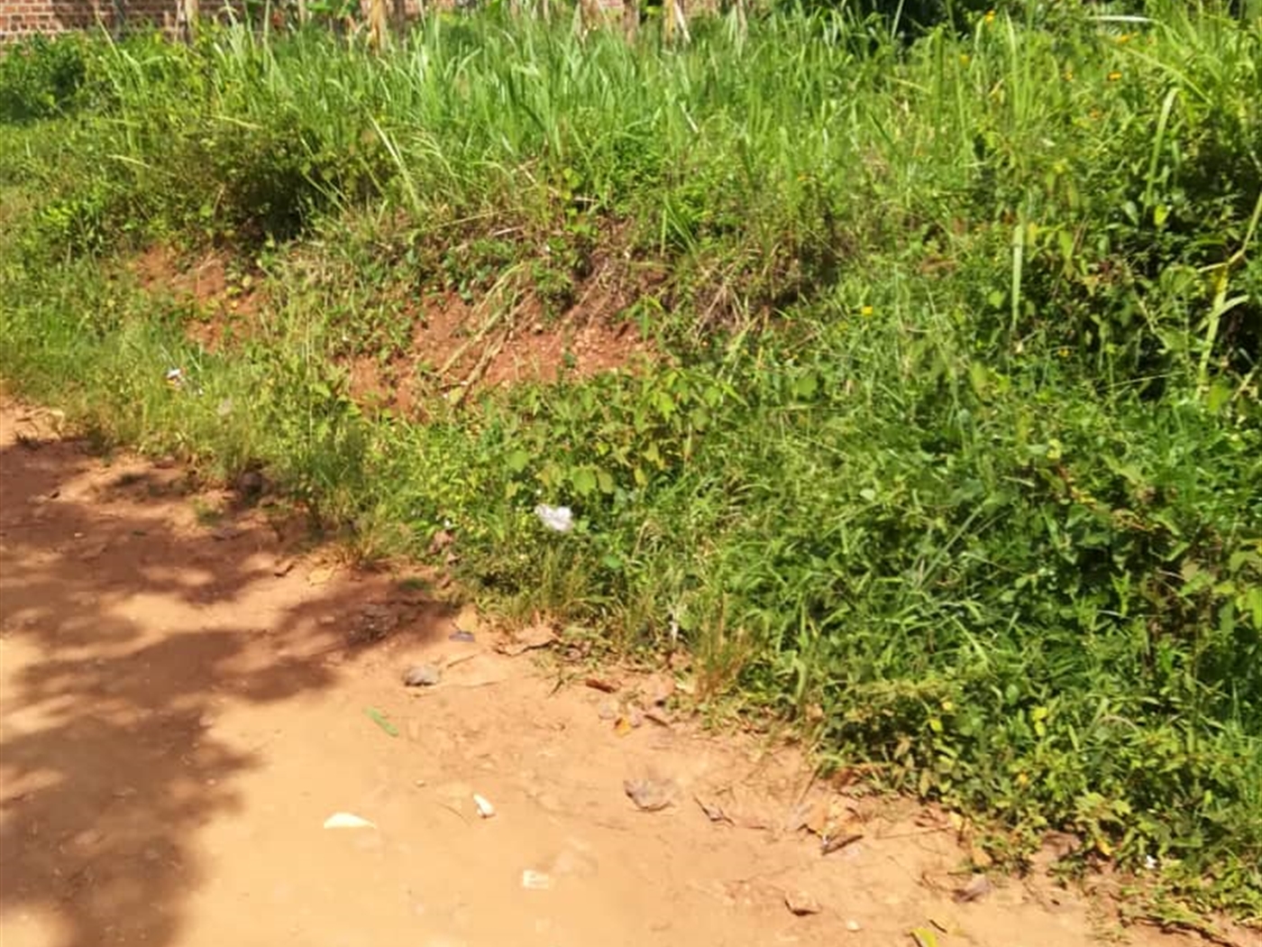 Residential Land for sale in Nsambwe Mukono