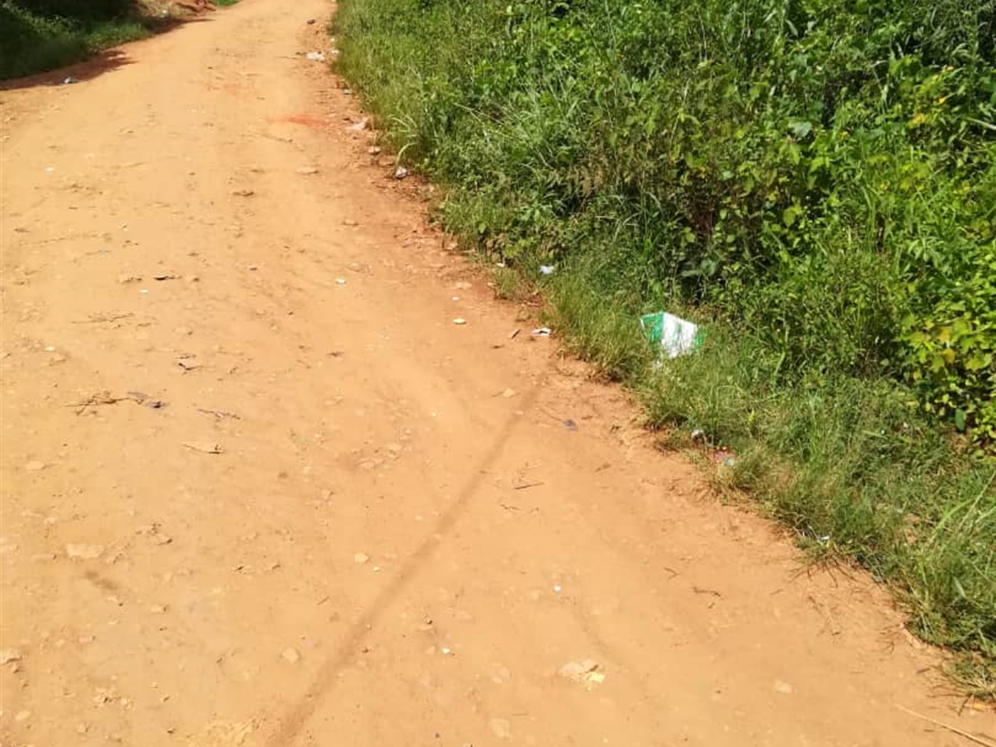 Residential Land for sale in Nsambwe Mukono