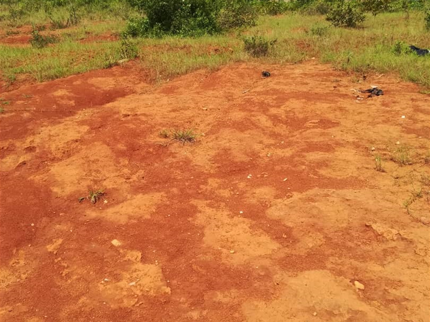 Residential Land for sale in Nsambwe Mukono