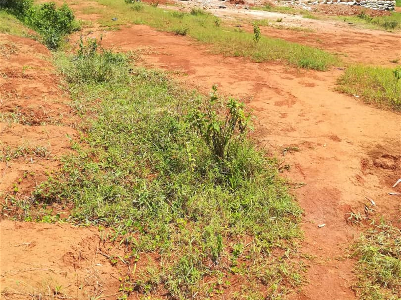 Residential Land for sale in Nsambwe Mukono