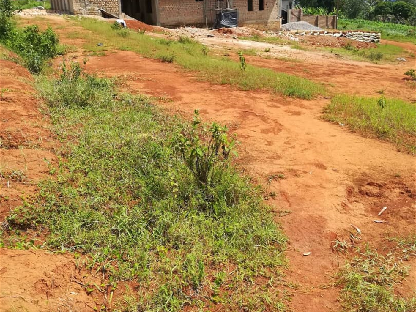 Residential Land for sale in Nsambwe Mukono