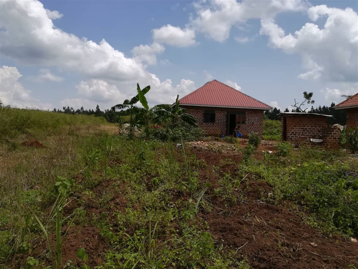 Shell House for sale in Kisowela Mukono