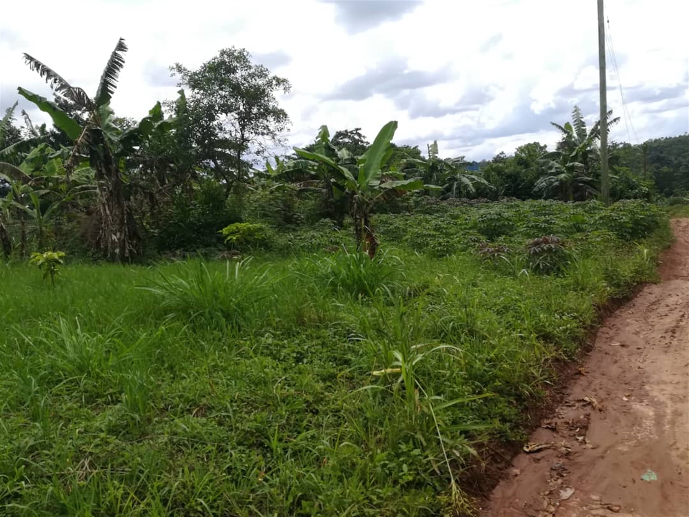 Residential Land for sale in Mpoma Mukono