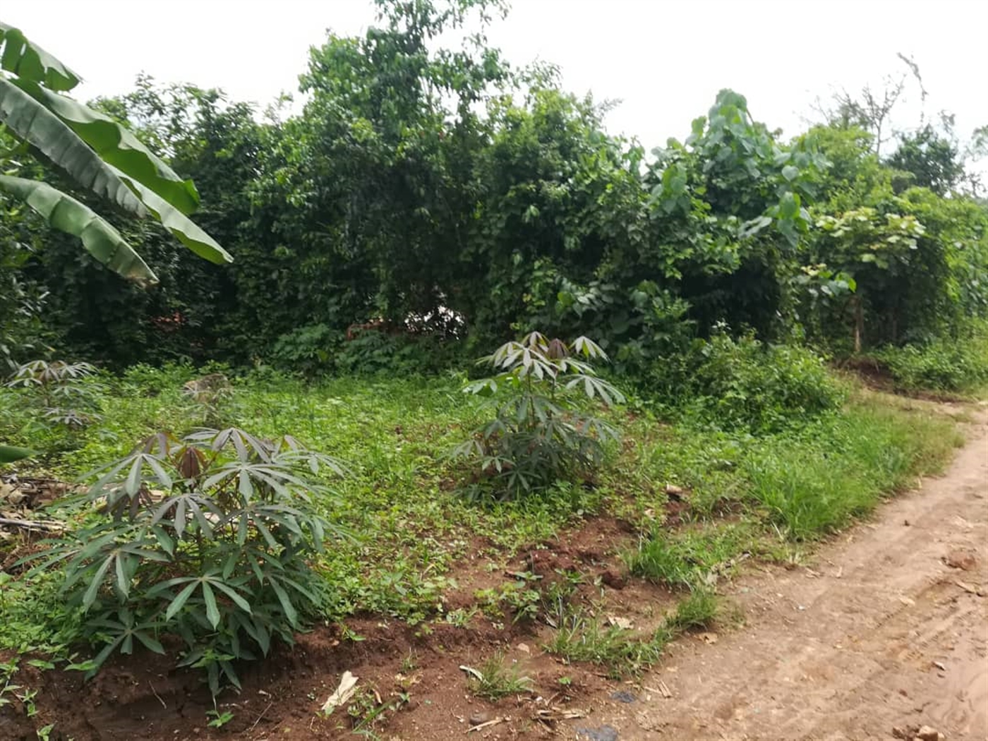 Residential Land for sale in Mpoma Mukono