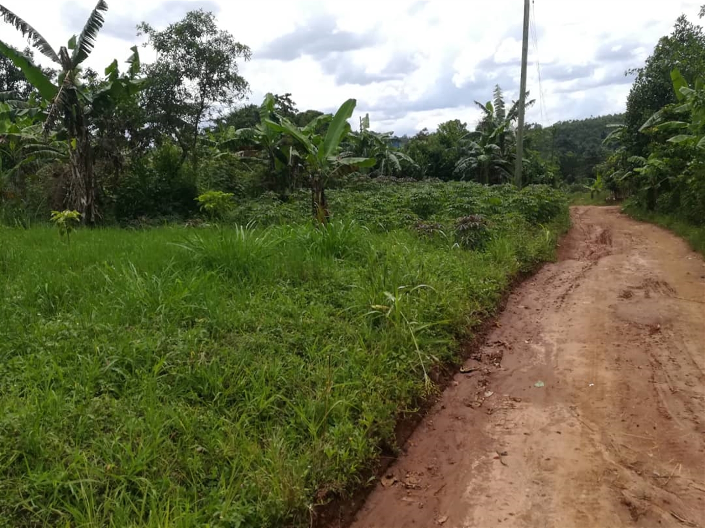 Residential Land for sale in Mpoma Mukono