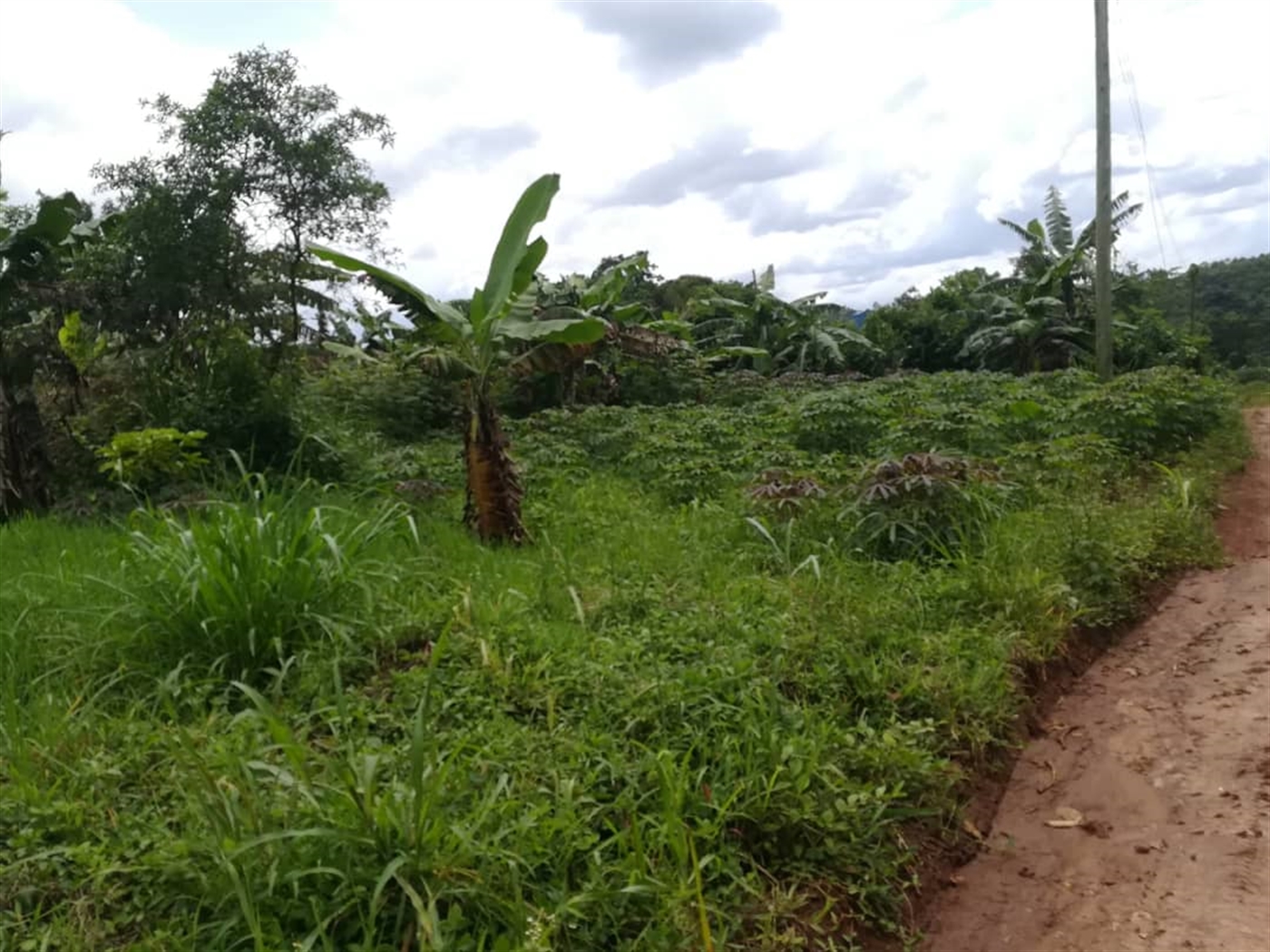 Residential Land for sale in Mpoma Mukono