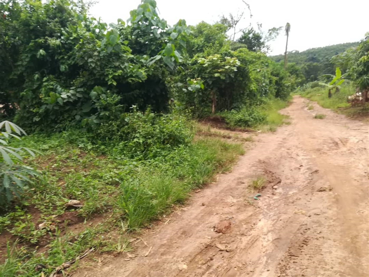 Residential Land for sale in Mpoma Mukono