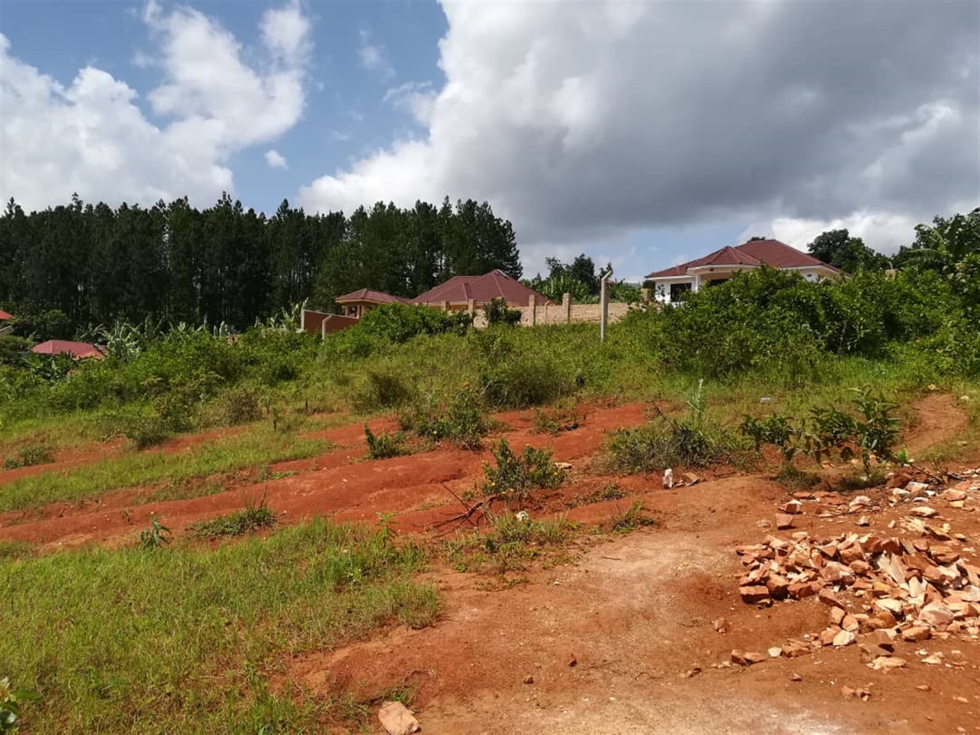 Residential Land for sale in Nsambwe Mukono