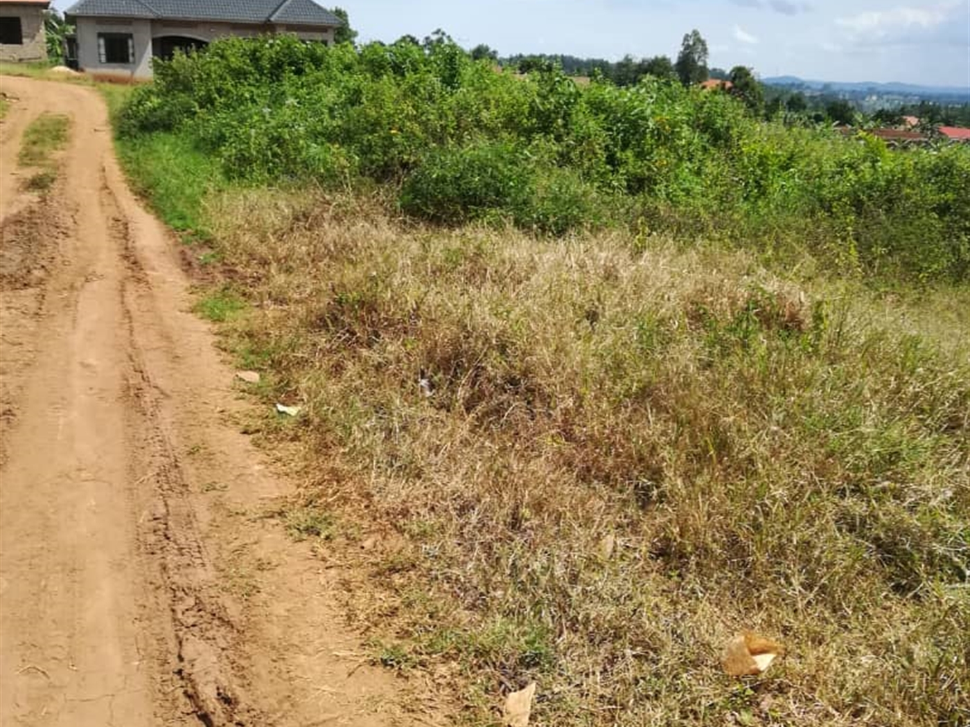 Residential Land for sale in Nsambwe Mukono