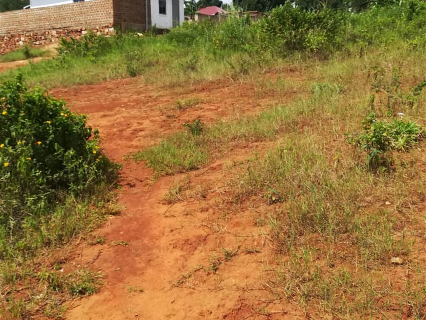 Residential Land for sale in Nsambwe Mukono