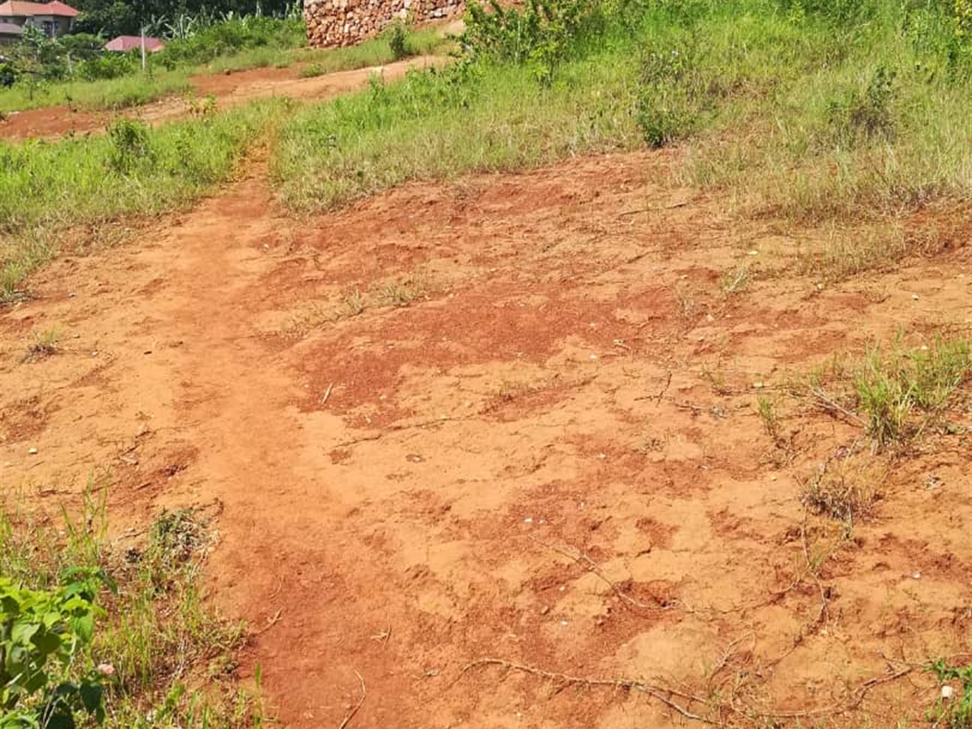 Residential Land for sale in Nsambwe Mukono