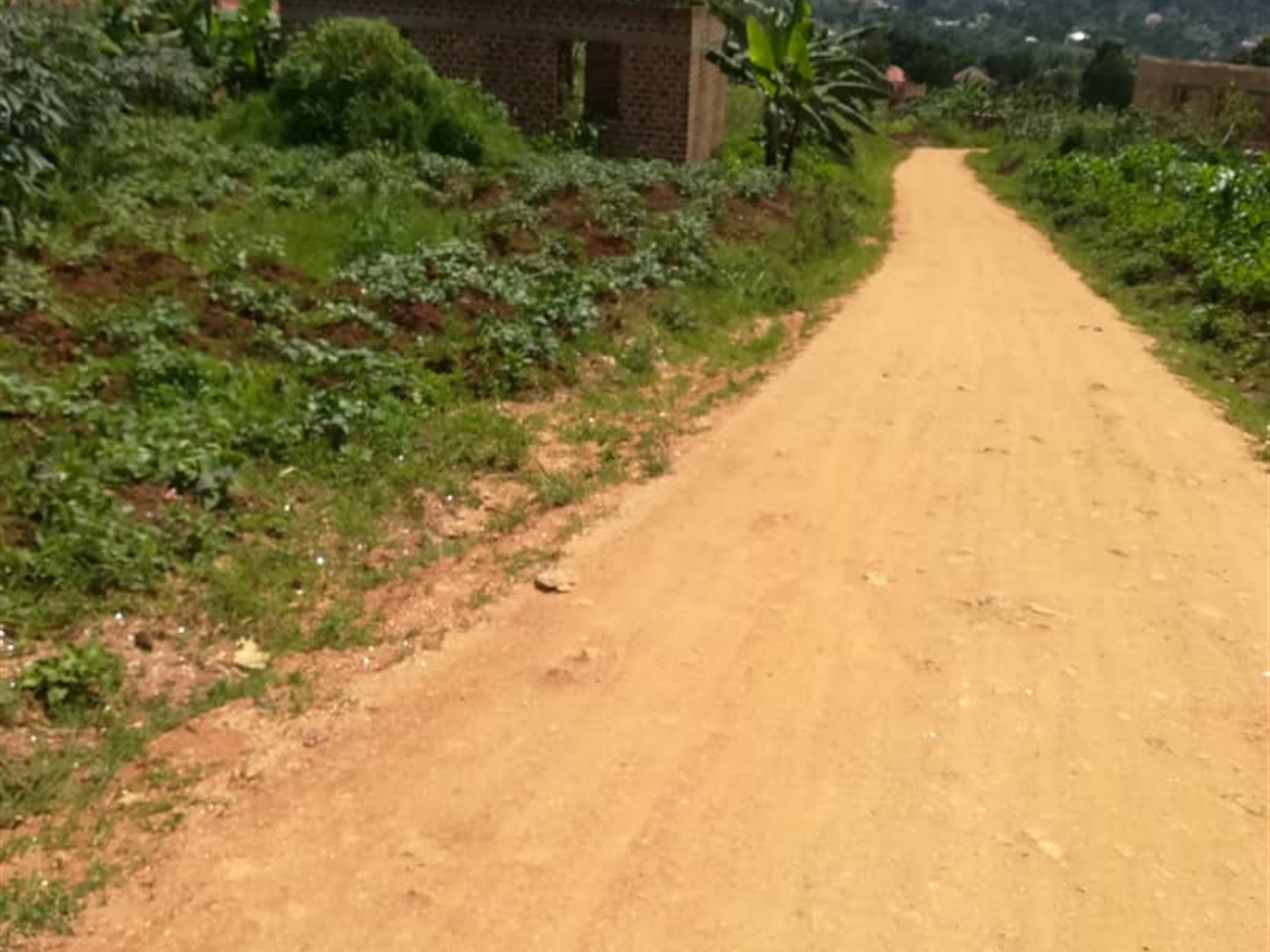 Residential Land for sale in Nsambwe Mukono