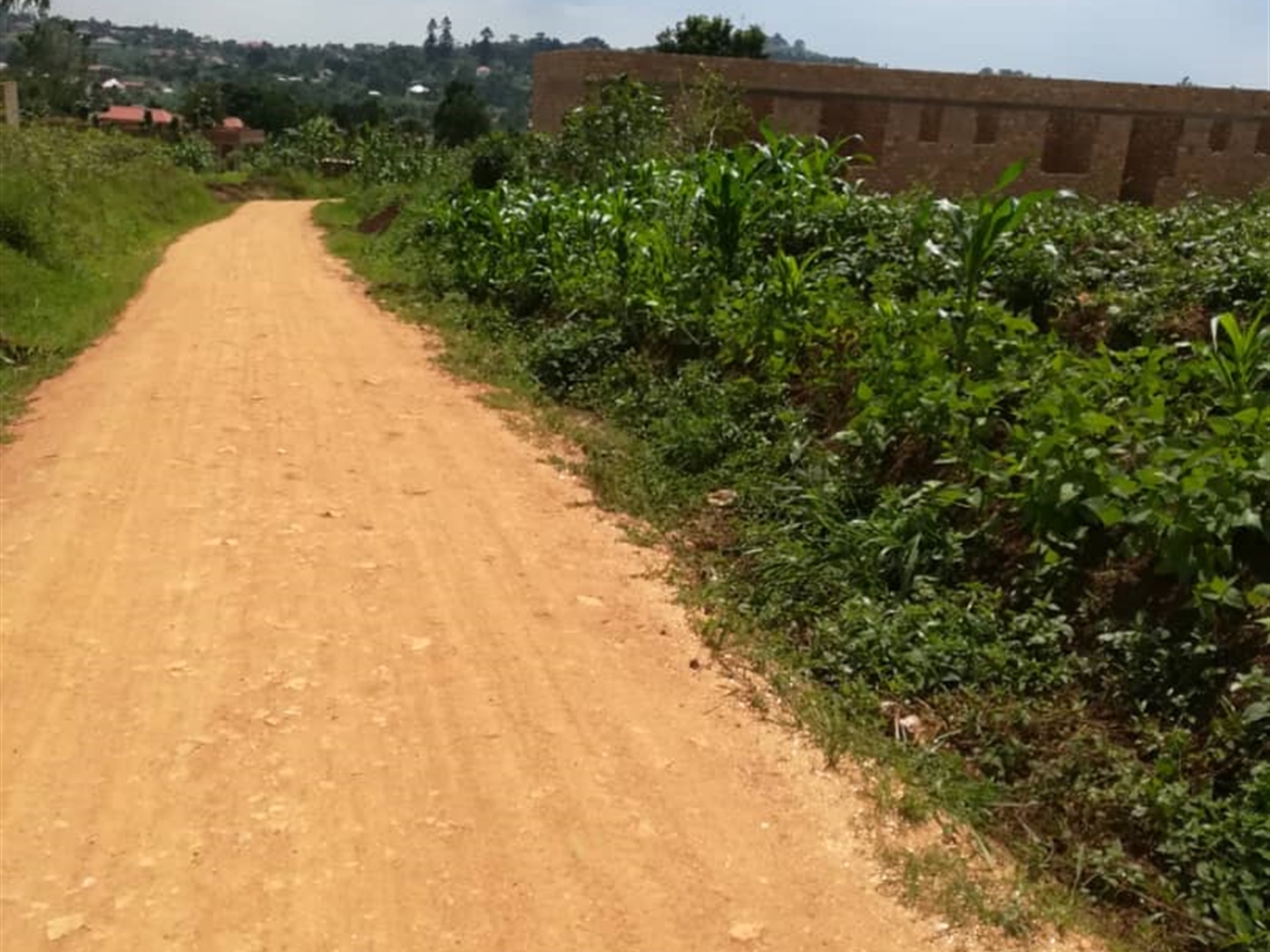 Residential Land for sale in Nsambwe Mukono