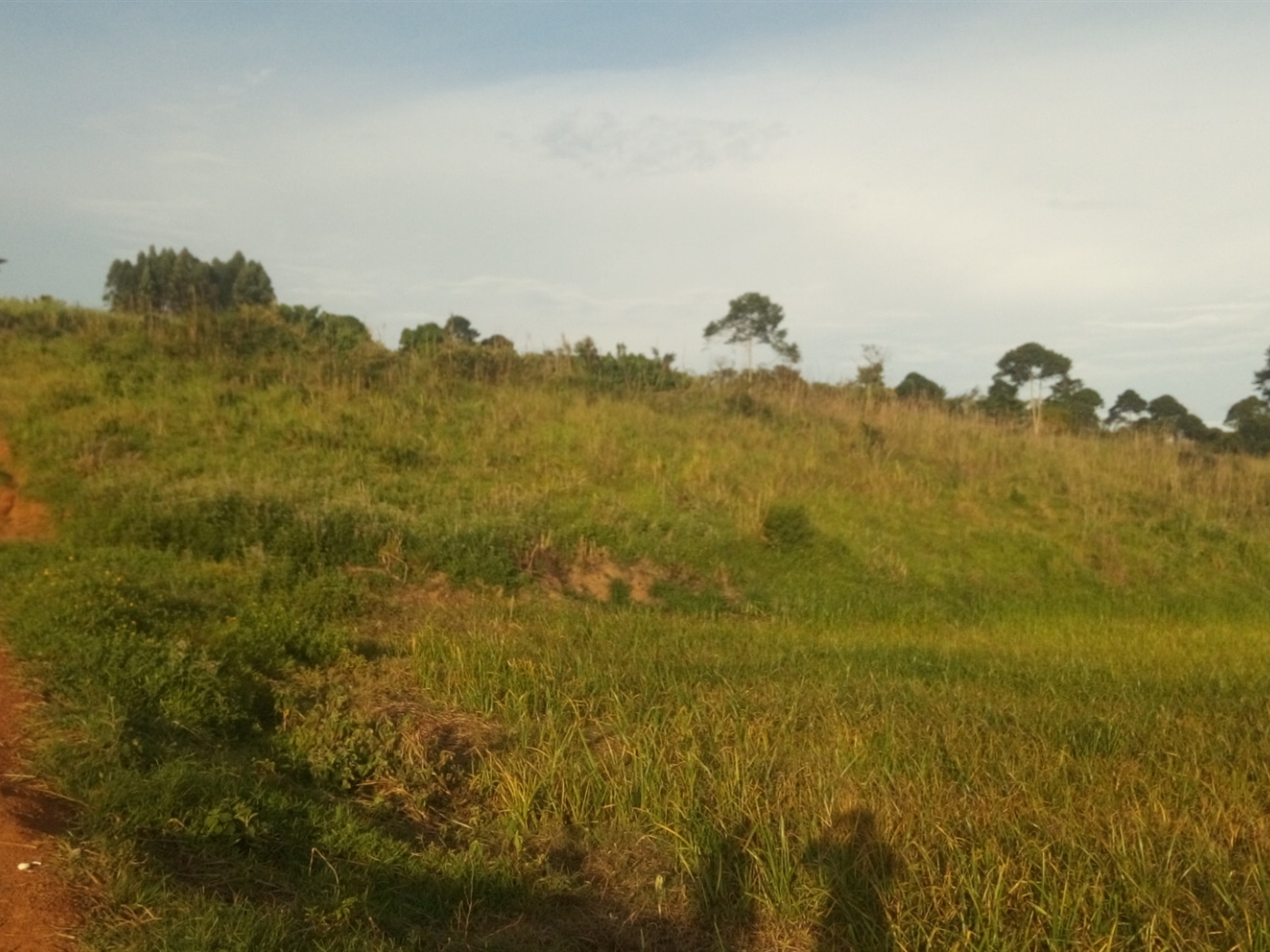 Residential Land for sale in Nsambwe Mukono