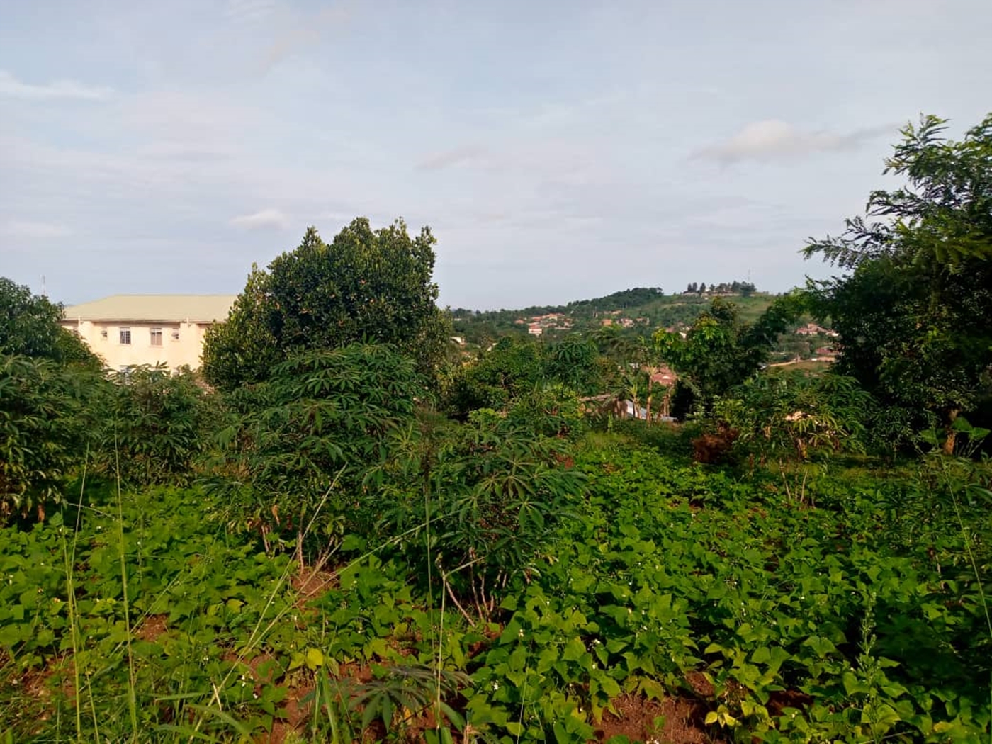 Residential Land for sale in Nsambwe Mukono