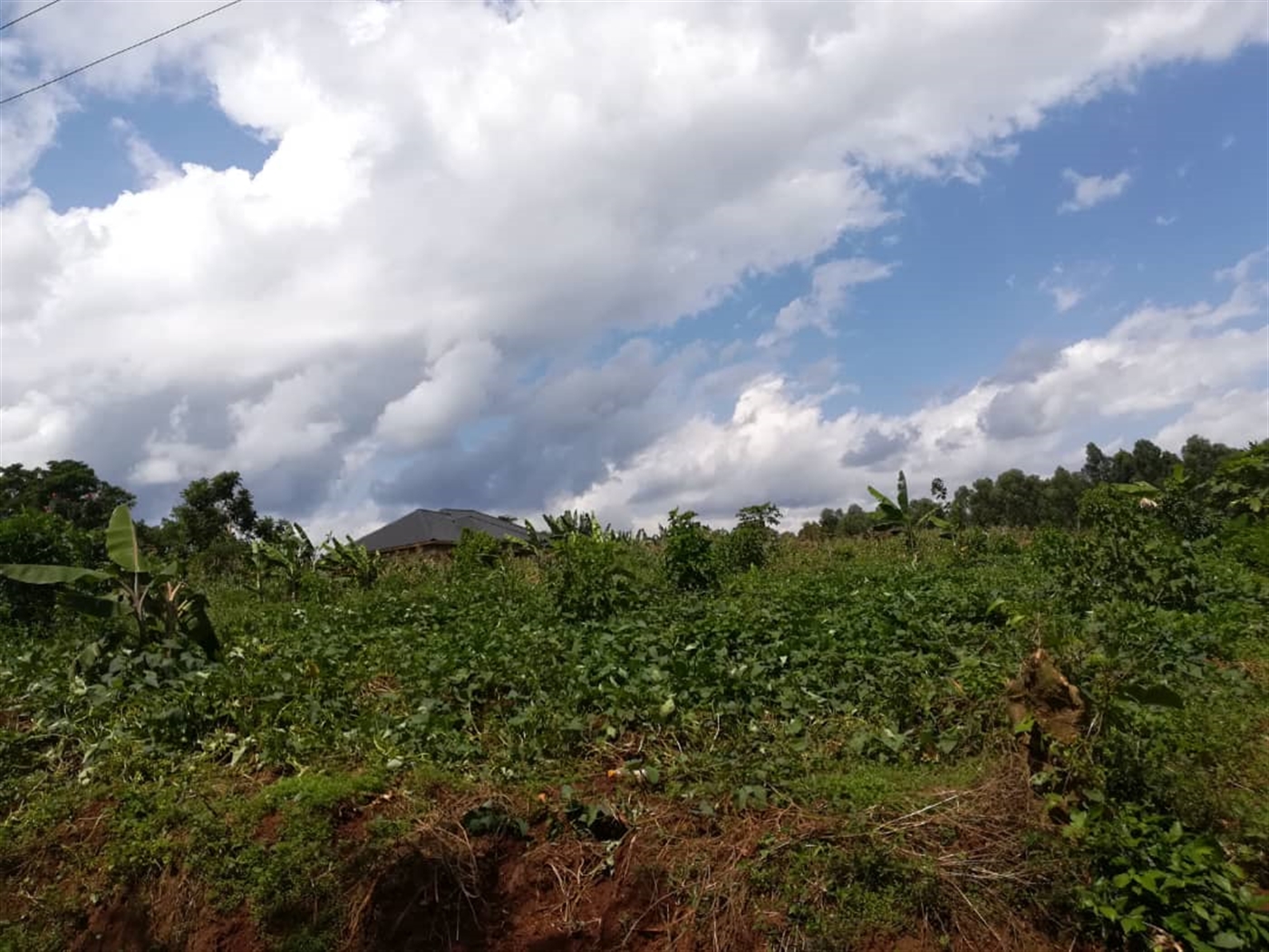 Residential Land for sale in Namayiba Mukono