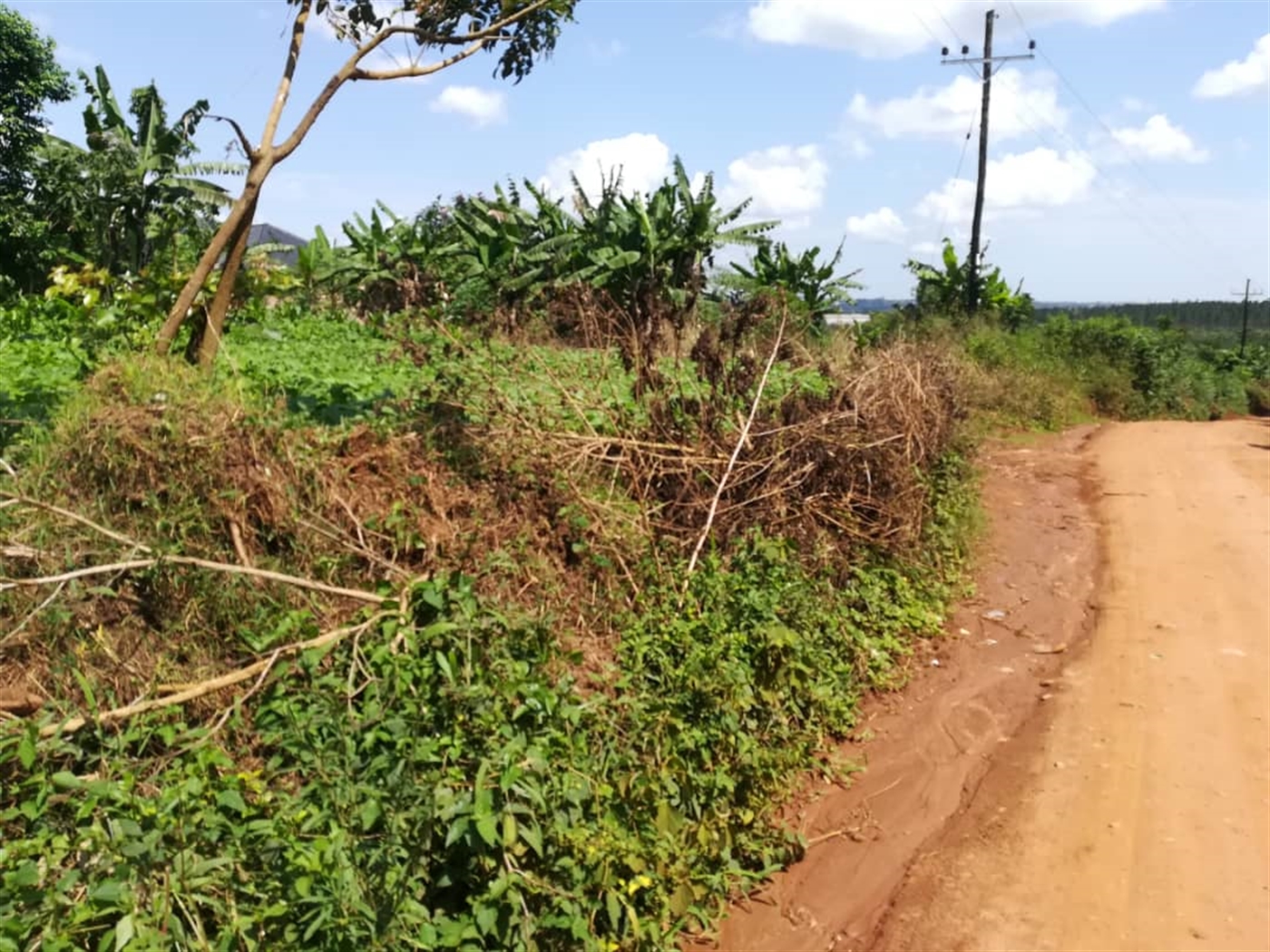 Residential Land for sale in Namayiba Mukono