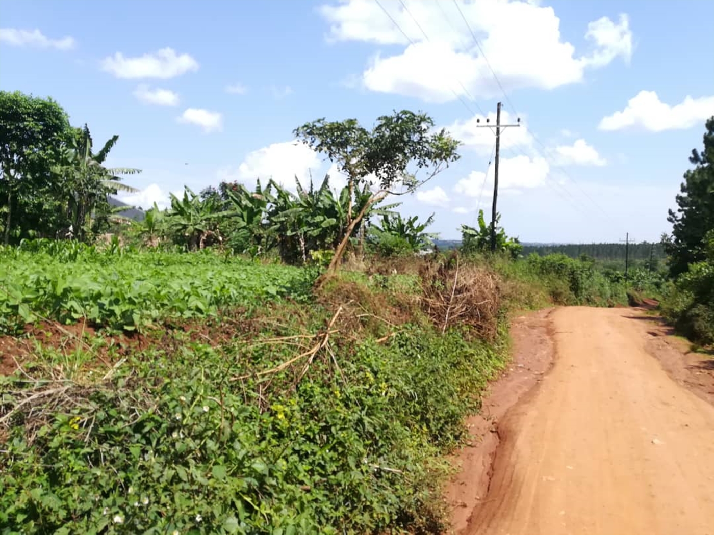 Residential Land for sale in Namayiba Mukono