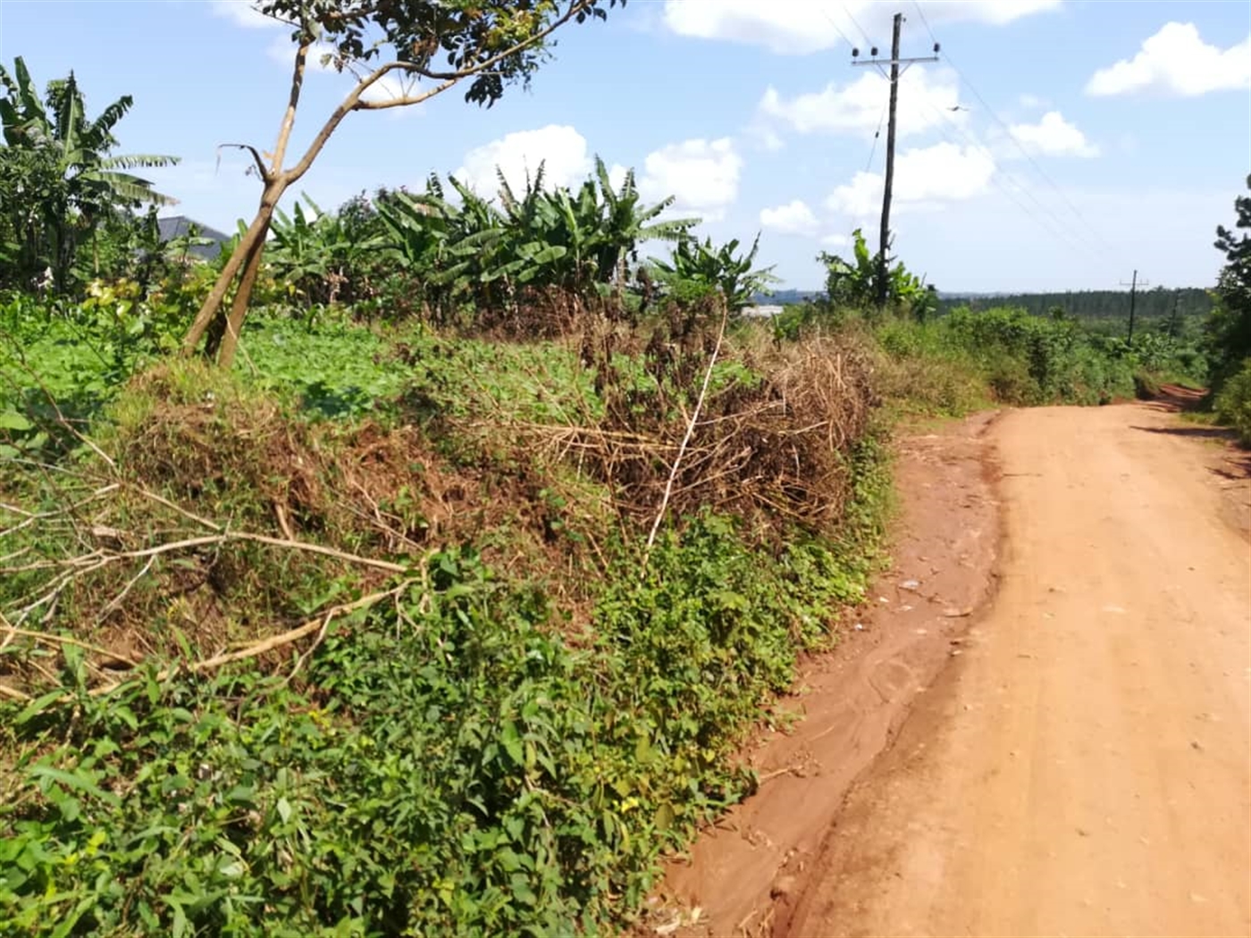 Residential Land for sale in Namayiba Mukono