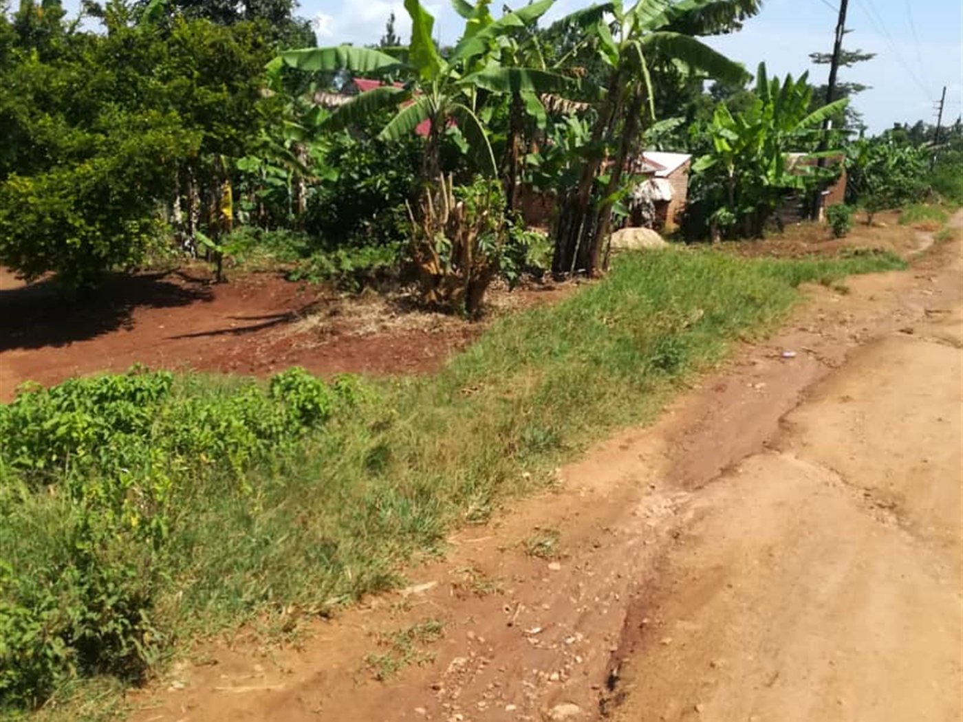 Residential Land for sale in Namayiba Mukono