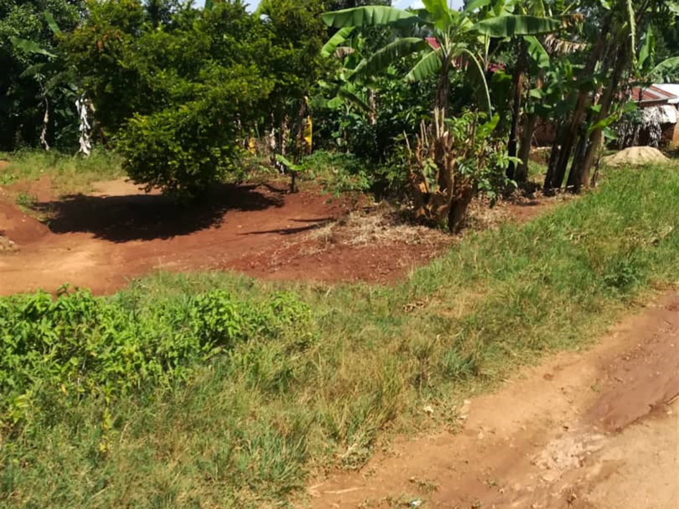 Residential Land for sale in Namayiba Mukono