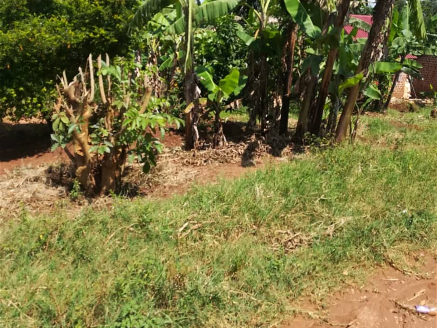 Residential Land for sale in Namayiba Mukono