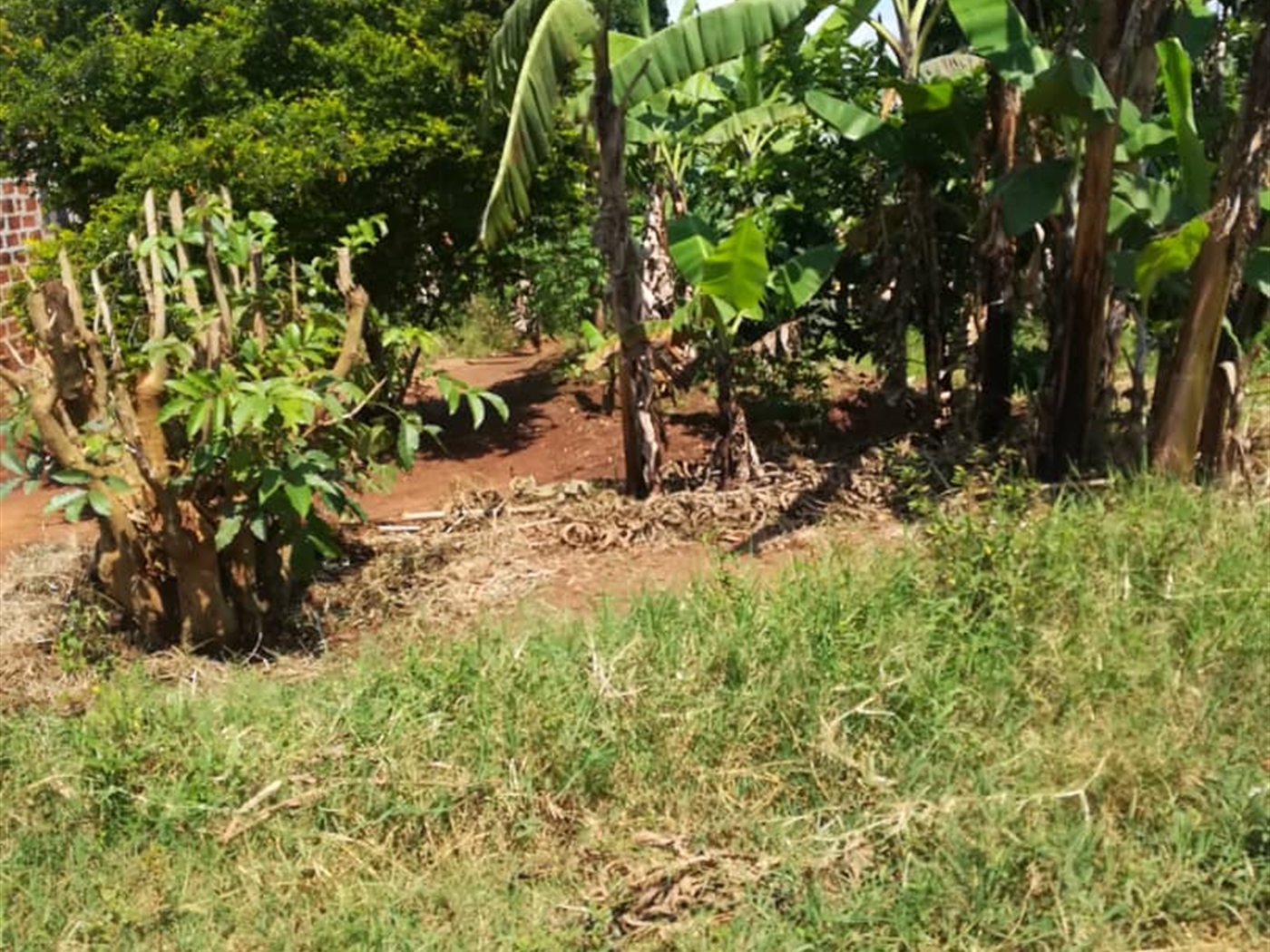 Residential Land for sale in Namayiba Mukono