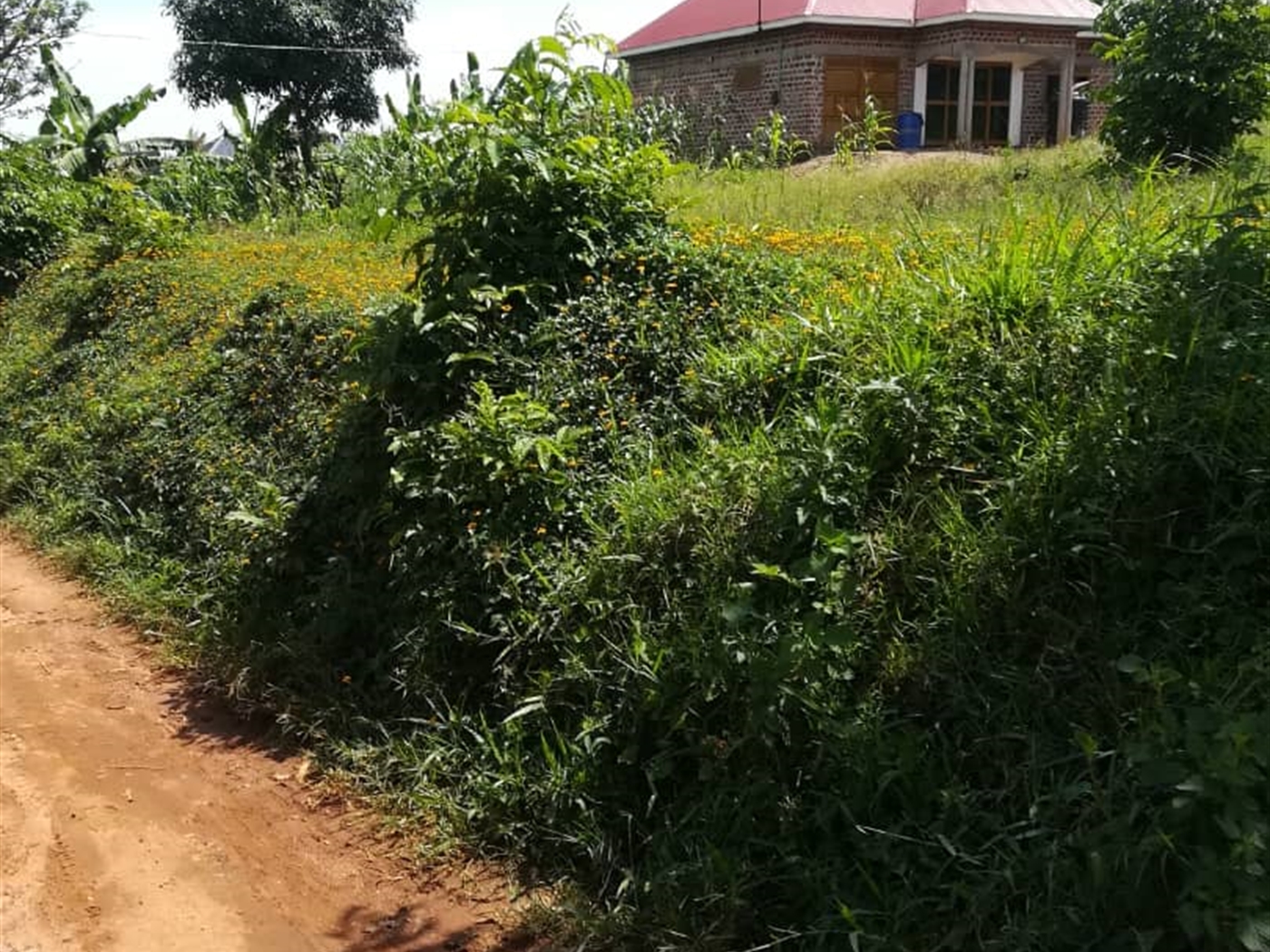 Residential Land for sale in Namayiba Mukono