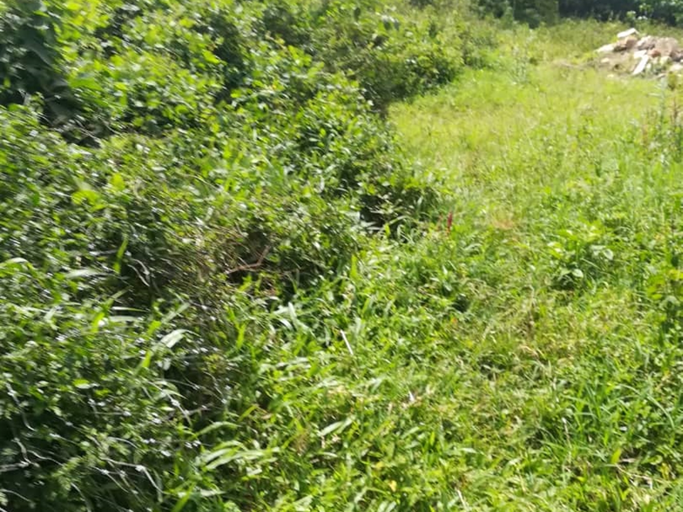 Residential Land for sale in Kabembe Mukono