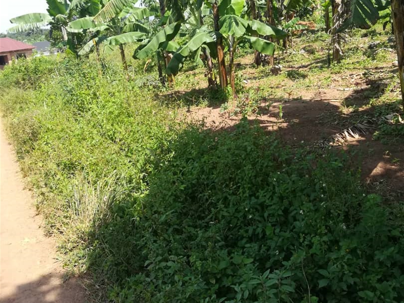 Residential Land for sale in Kabembe Mukono