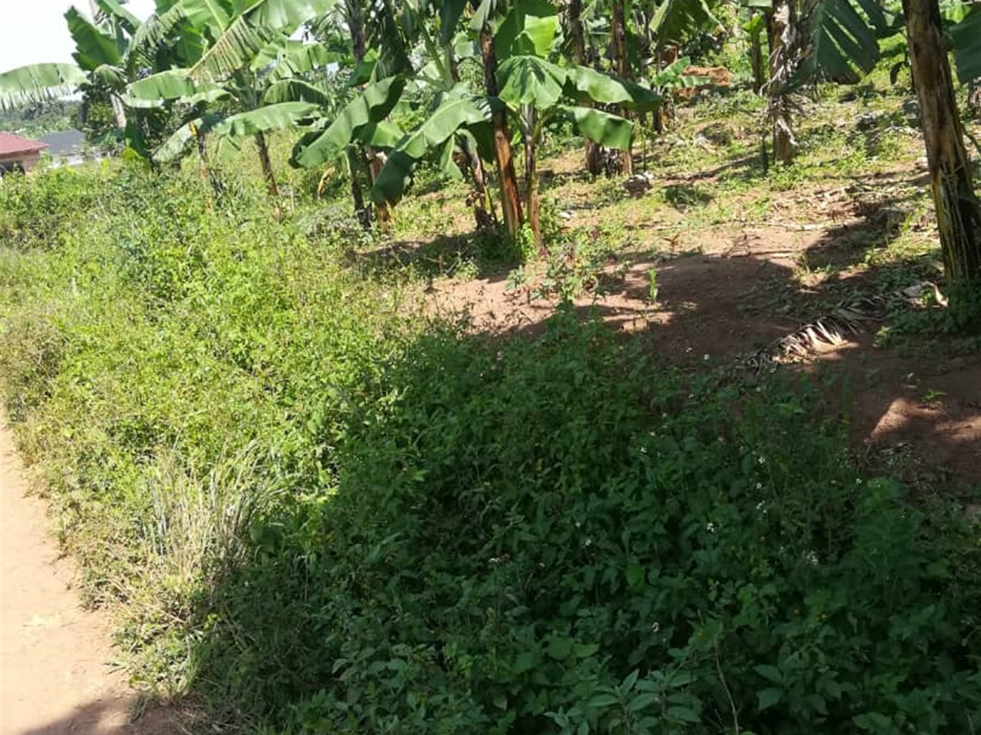 Residential Land for sale in Kabembe Mukono