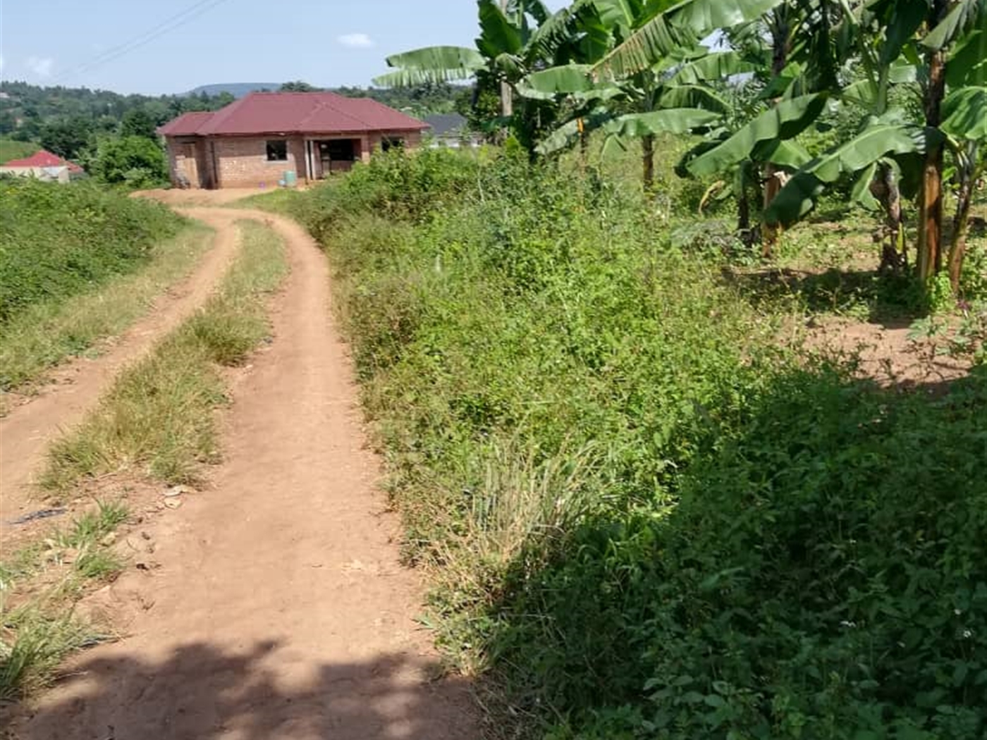 Residential Land for sale in Kabembe Mukono