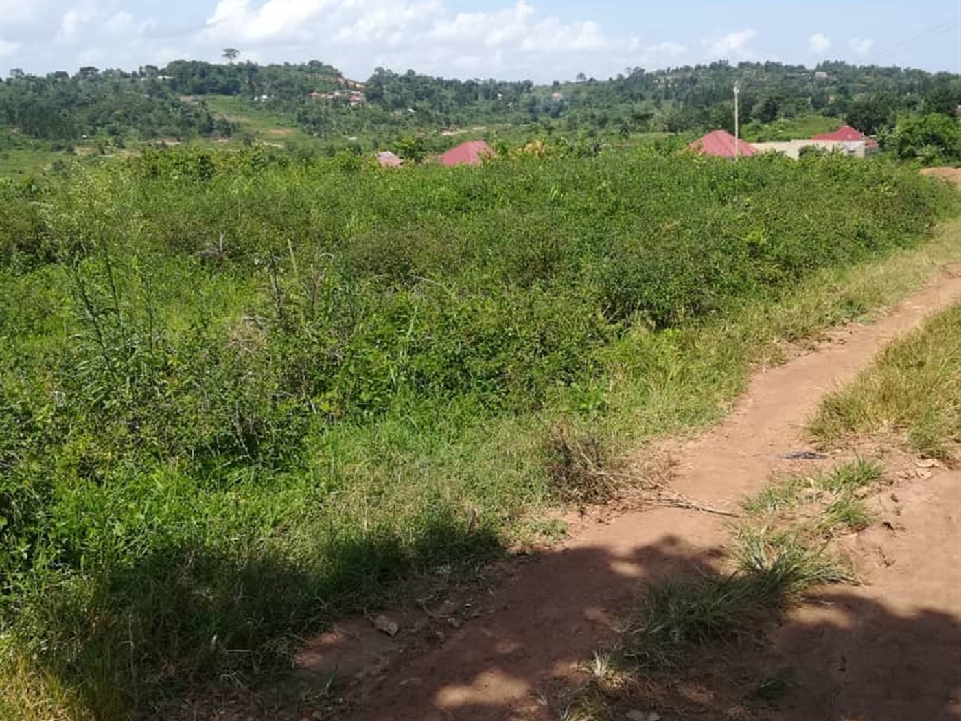 Residential Land for sale in Kabembe Mukono