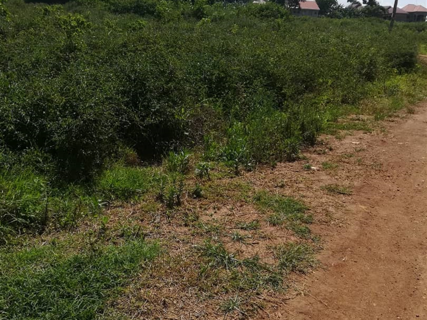 Residential Land for sale in Kabembe Mukono