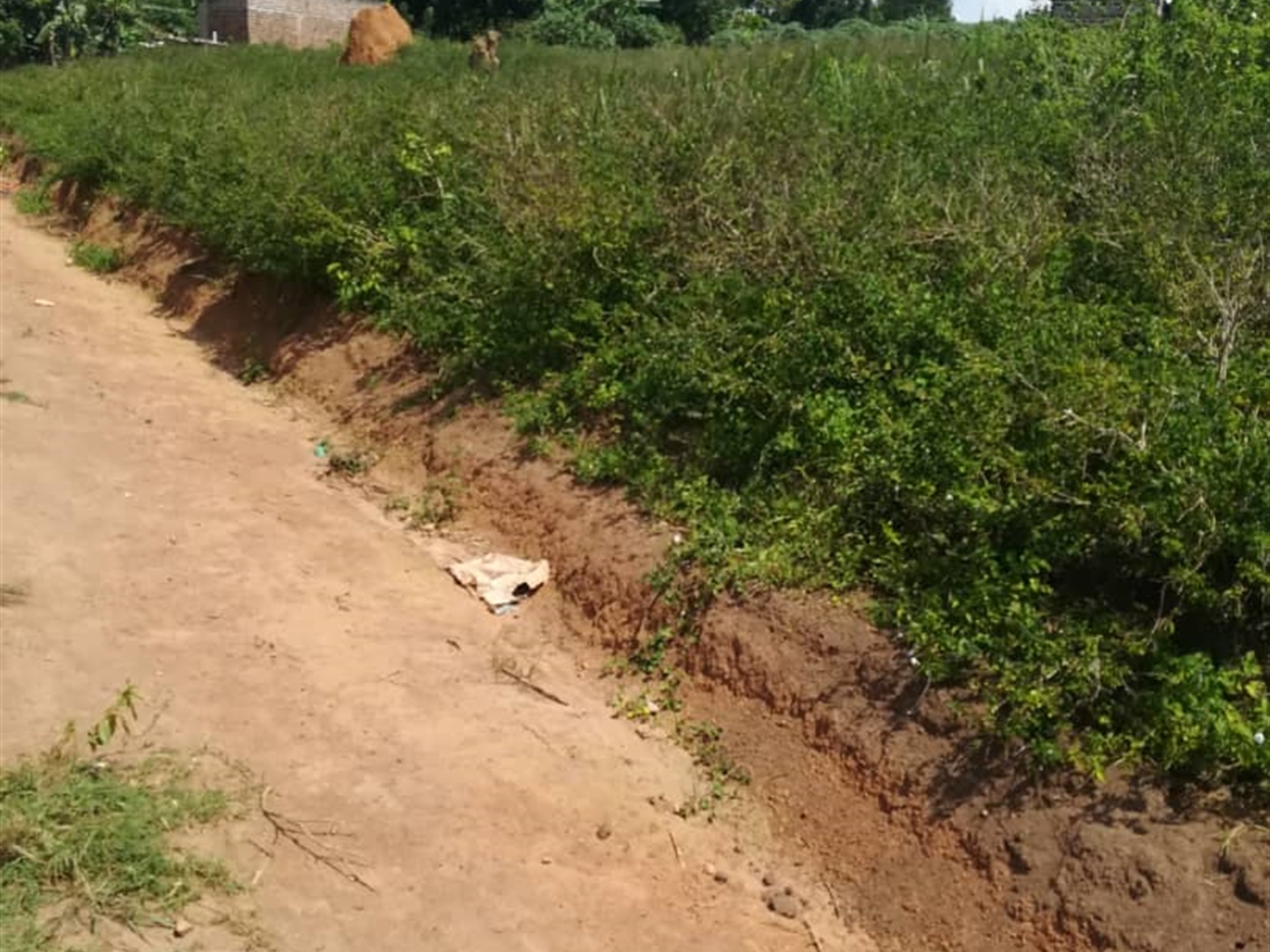 Residential Land for sale in Kabembe Mukono