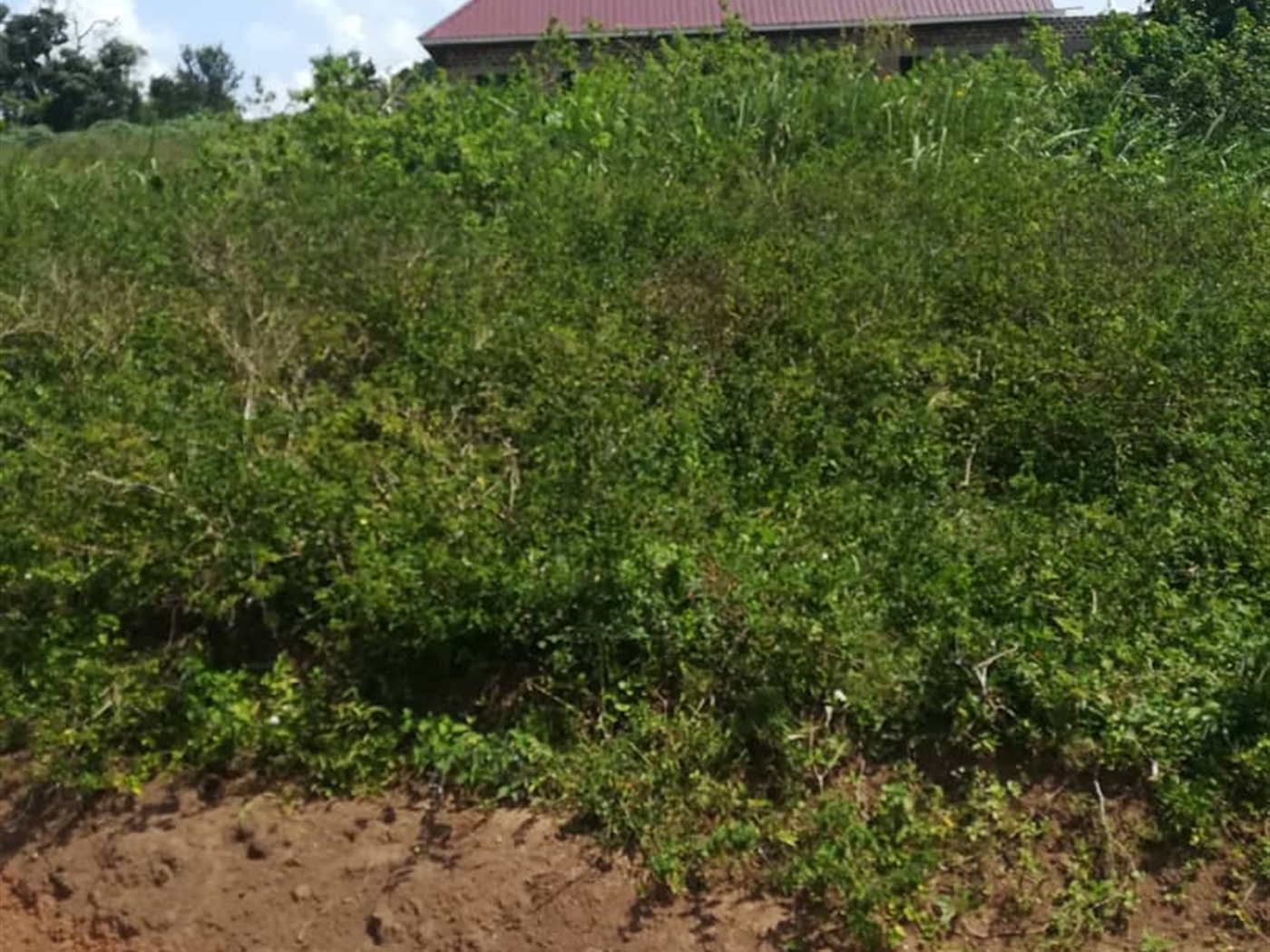 Residential Land for sale in Kabembe Mukono