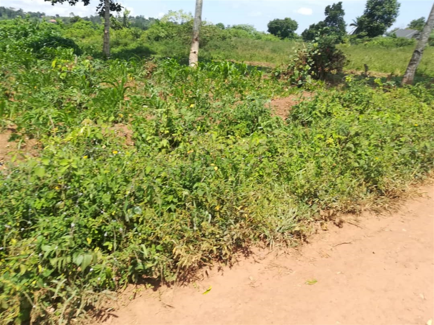 Residential Land for sale in Kabembe Mukono