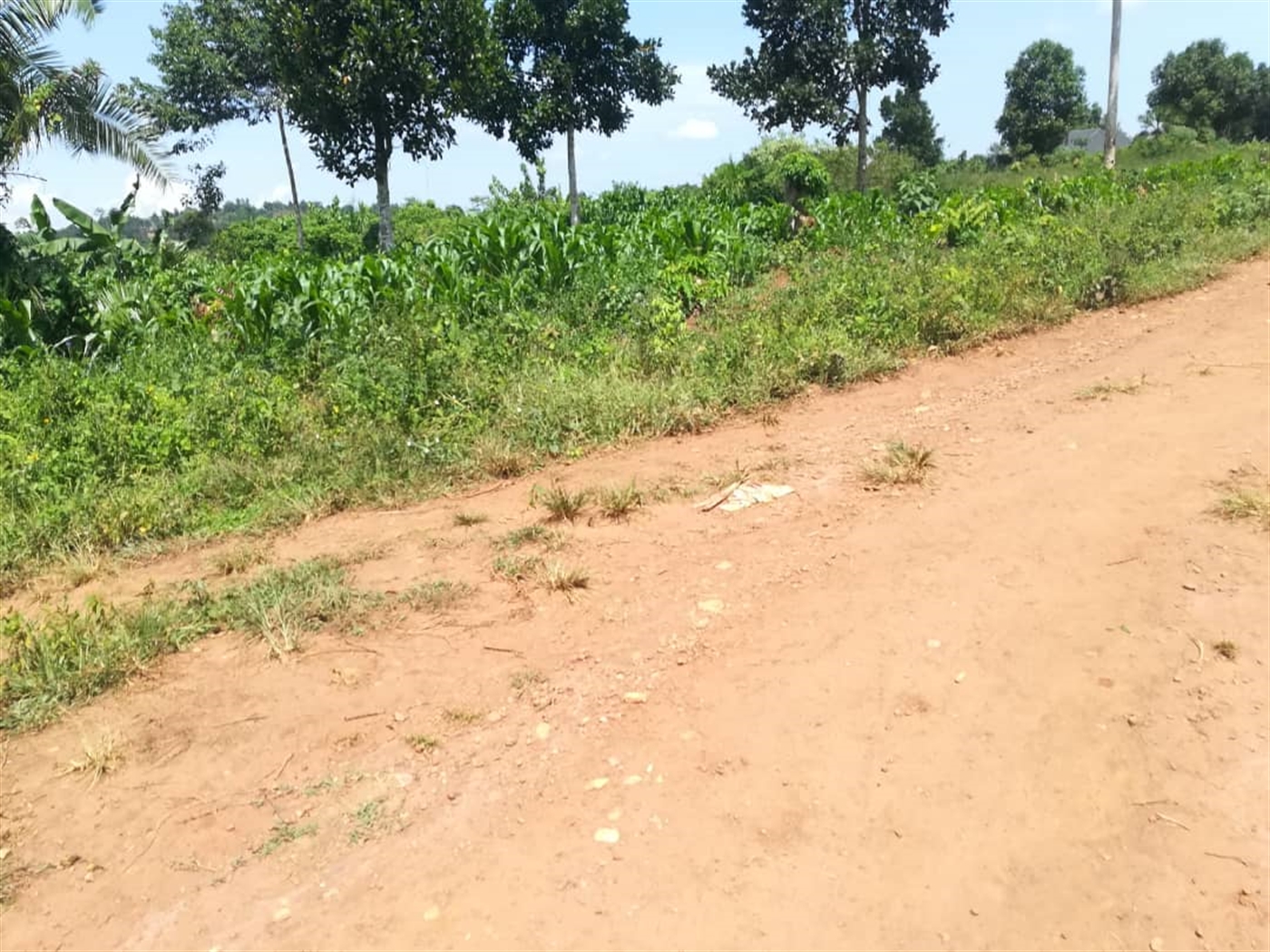 Residential Land for sale in Kabembe Mukono