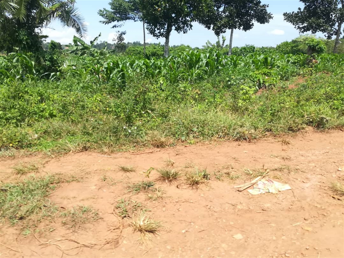 Residential Land for sale in Kabembe Mukono