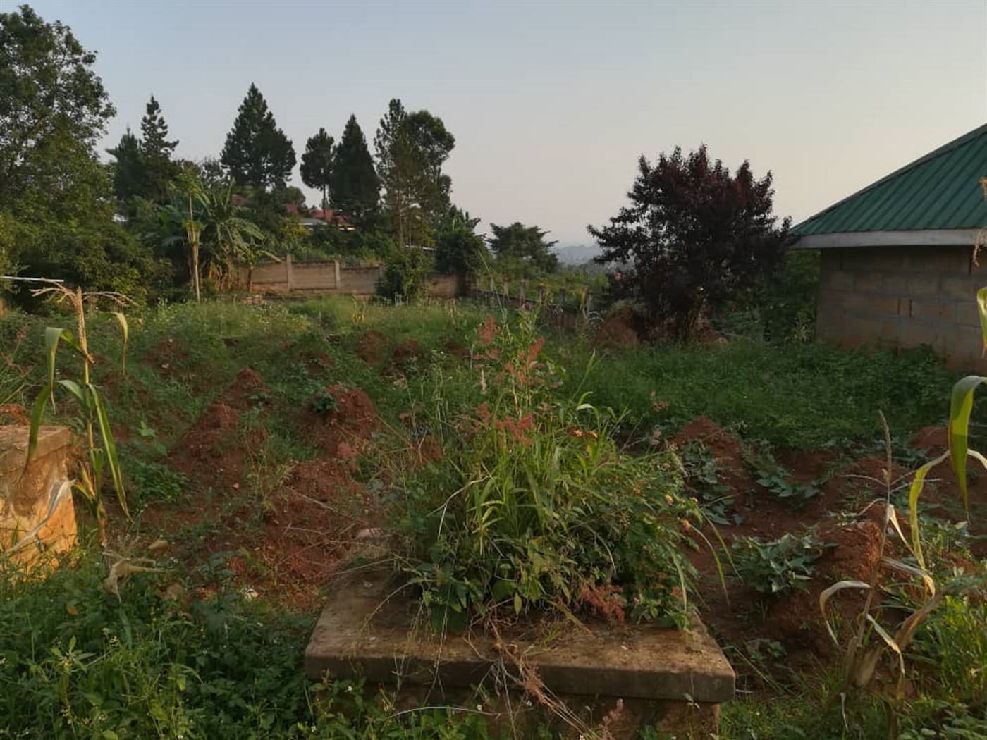 Commercial Land for sale in Bugujju Mukono