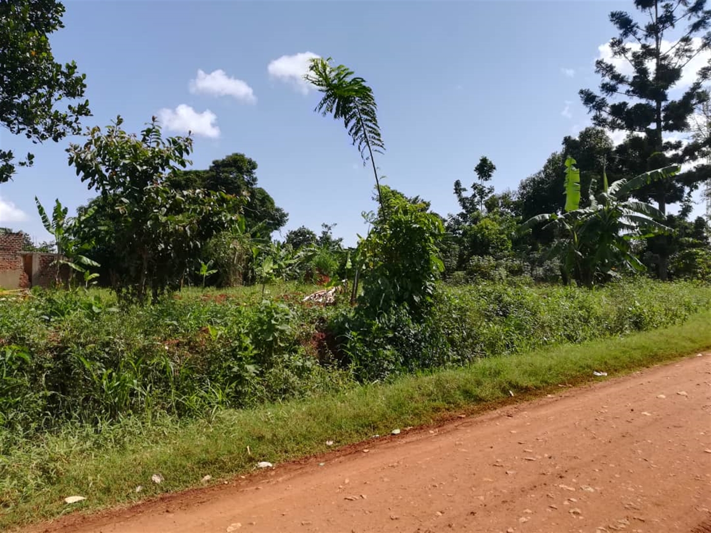 Residential Land for sale in Namayiba Mukono