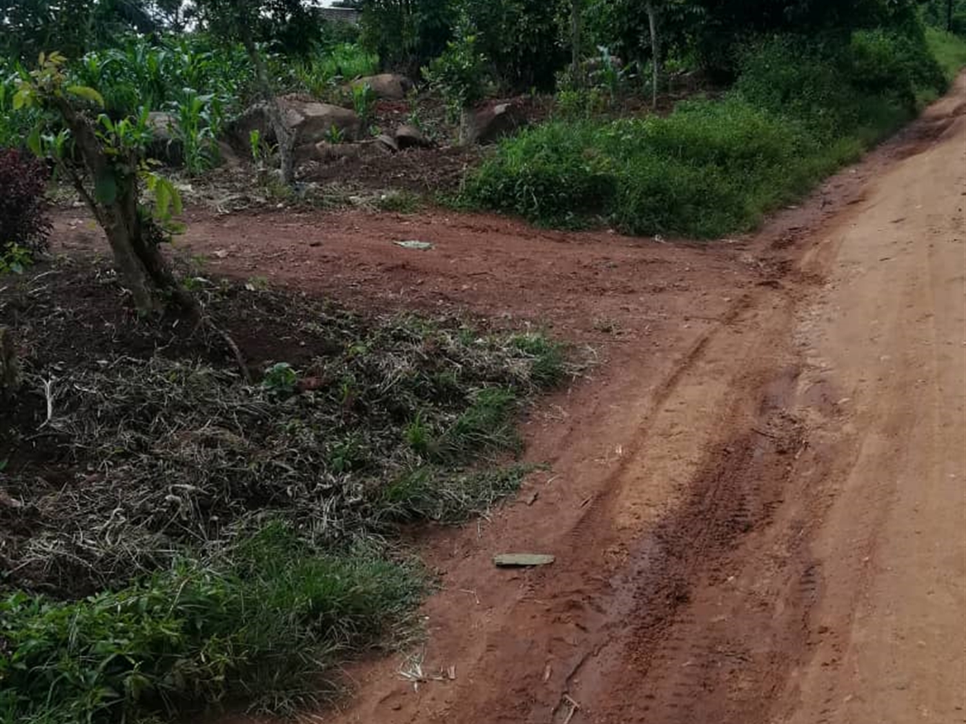 Residential Land for sale in Namayiba Mukono