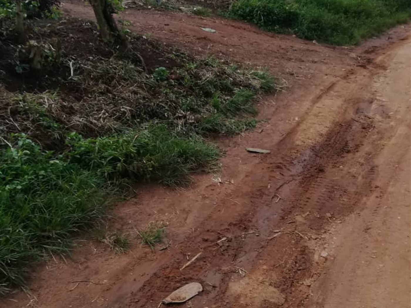 Residential Land for sale in Namayiba Mukono