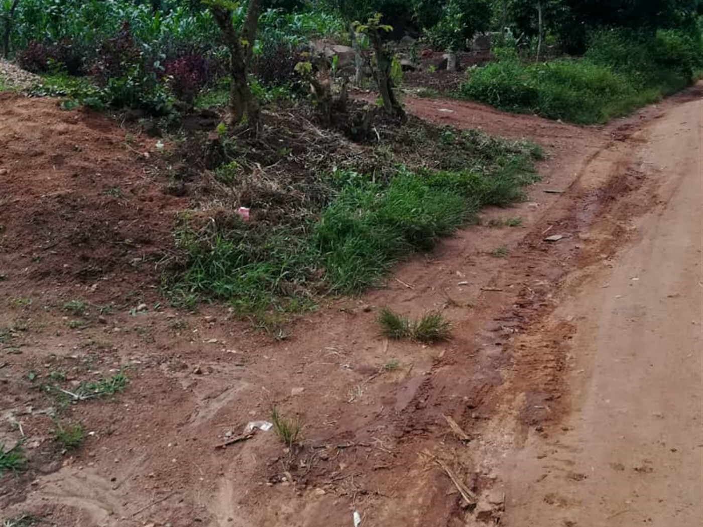 Residential Land for sale in Namayiba Mukono