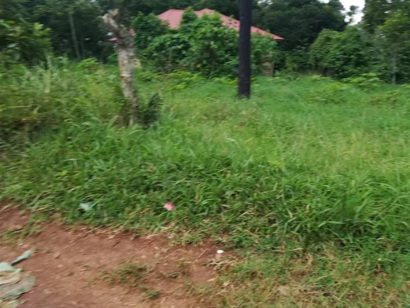 Residential Land for sale in Namayiba Mukono