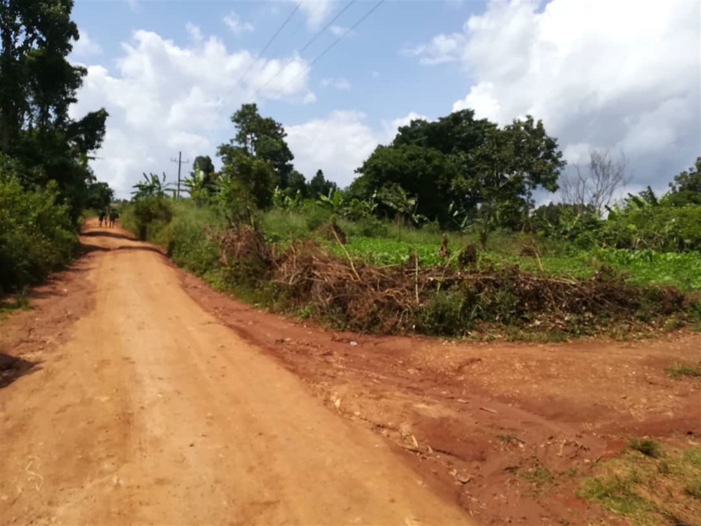 Residential Land for sale in Namayiba Mukono