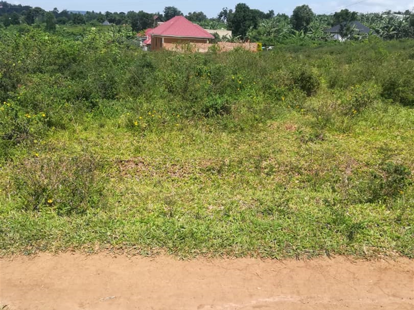 Residential Land for sale in Kabembe Mukono