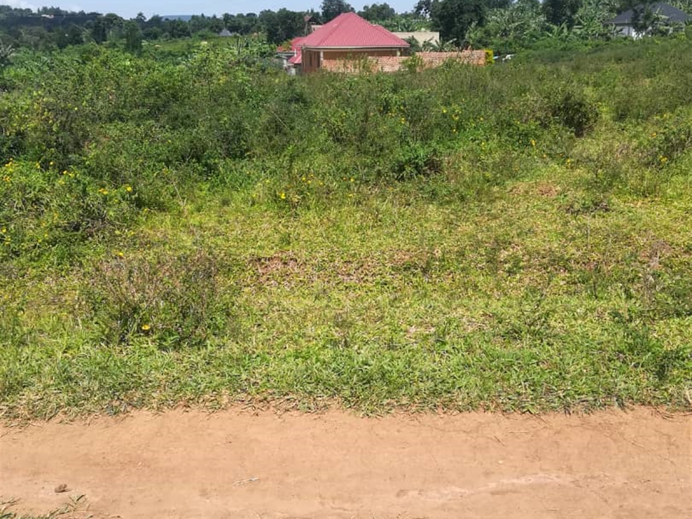 Residential Land for sale in Kabembe Mukono