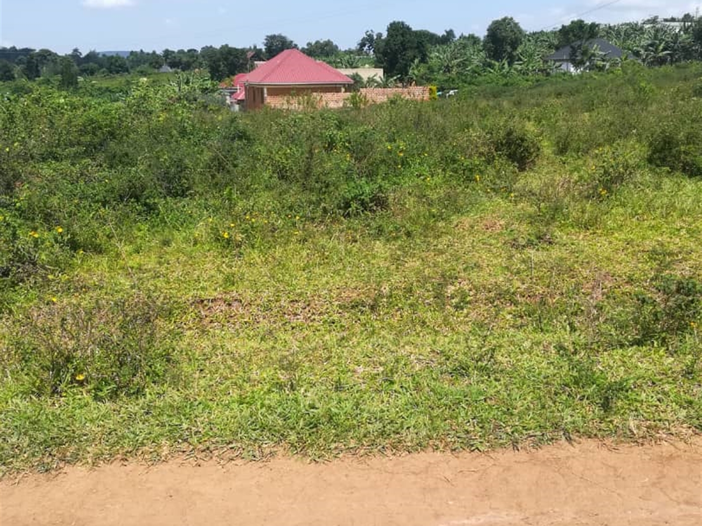 Residential Land for sale in Kabembe Mukono